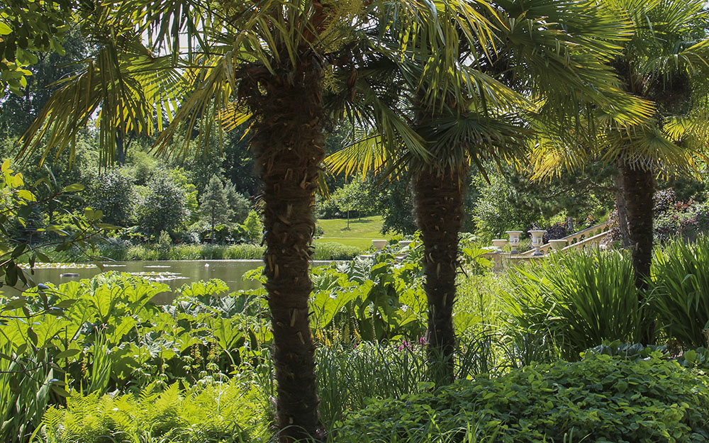 Landscape design at Harewood