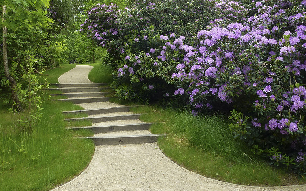 Landscape design at Harewood