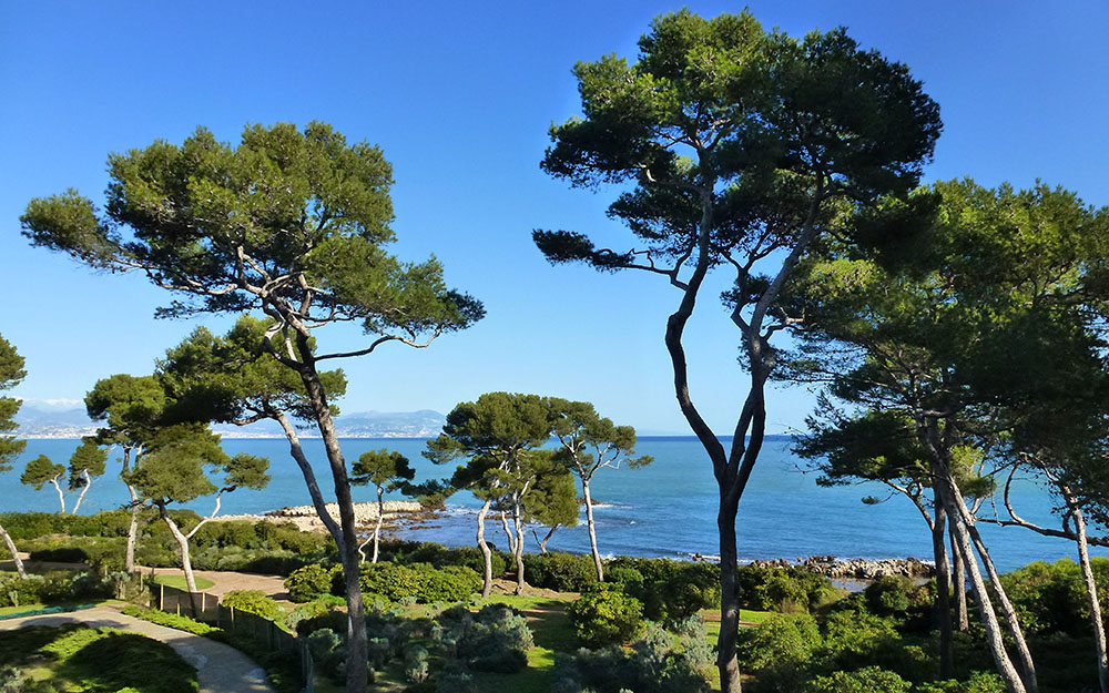 Landscape design at  Cote D'Azur