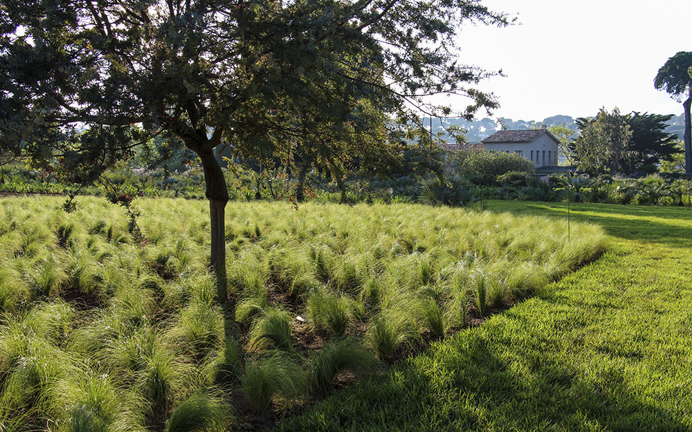 Landscape design at  Cote D'Azur