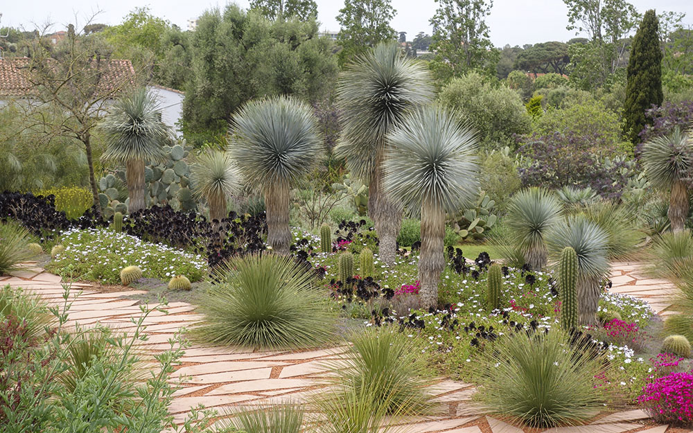 Landscape design at  Cote D'Azur