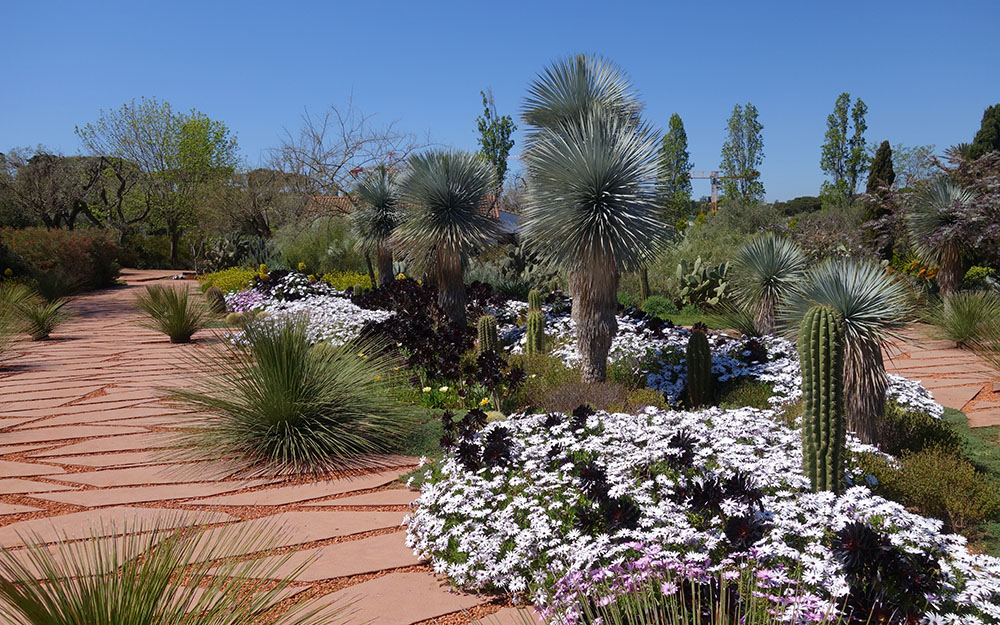 Landscape design at  Cote D'Azur