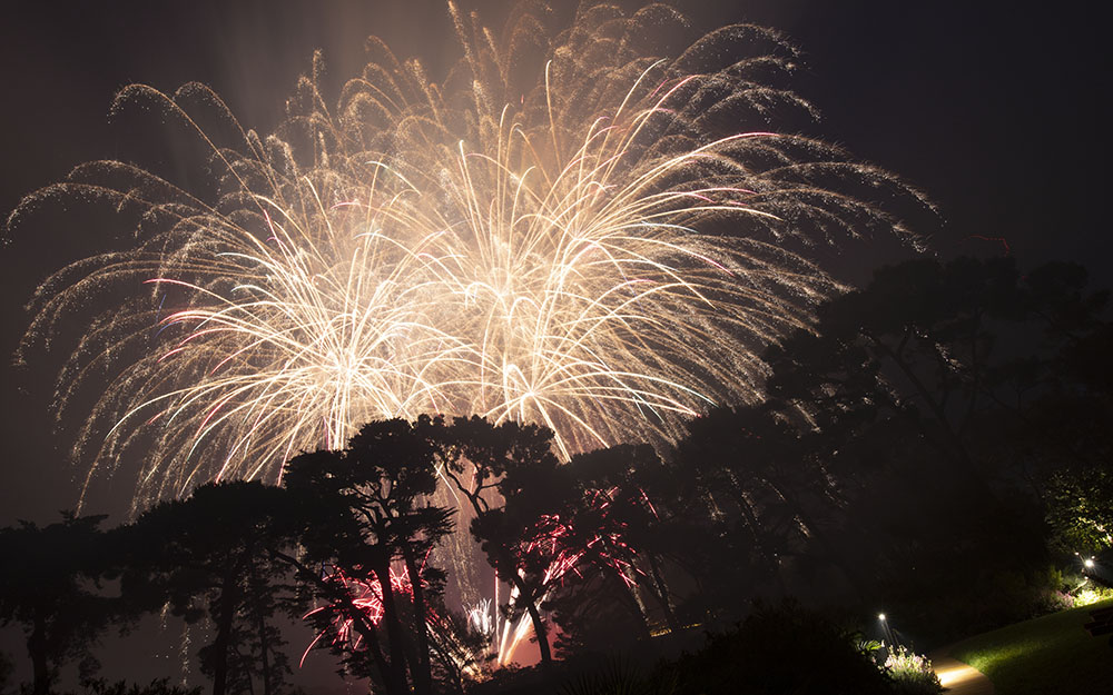 Landscape design at  Cote D'Azur