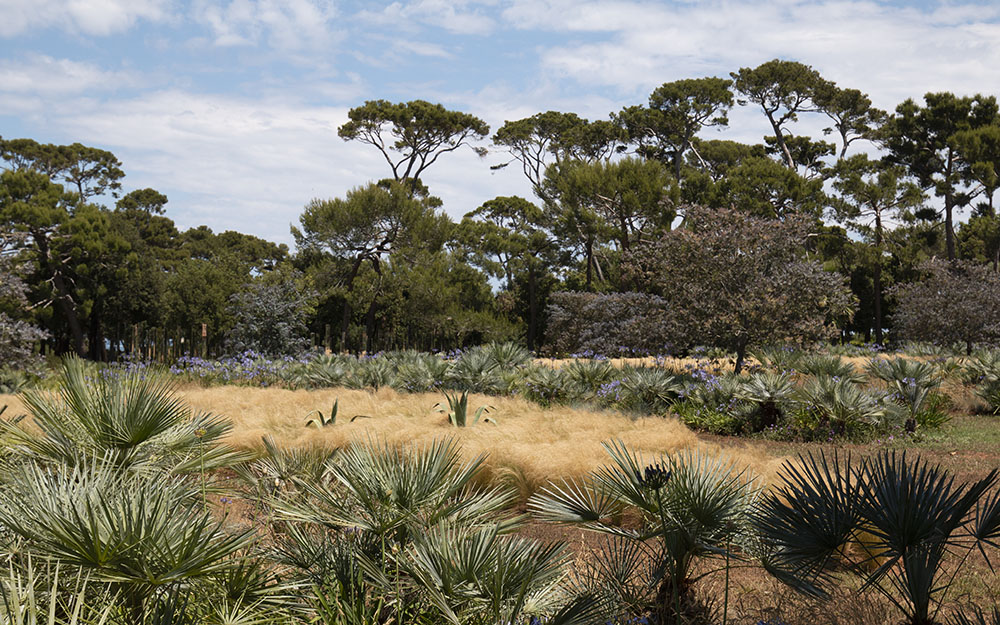 Landscape design at  Cote D'Azur