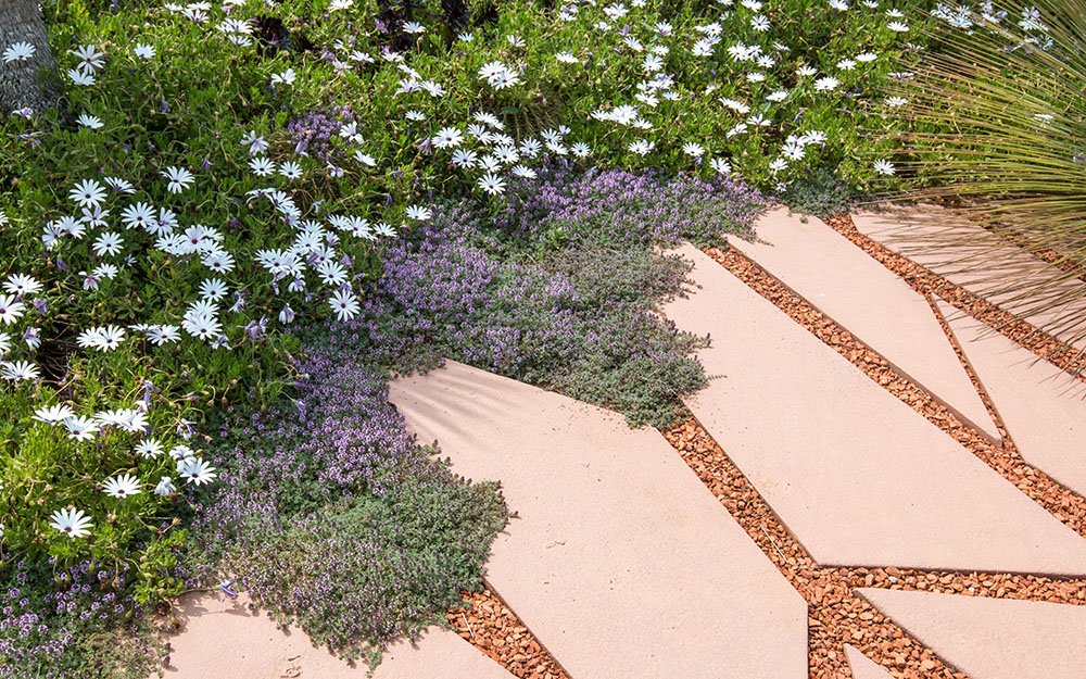 Landscape design at  Cote D'Azur