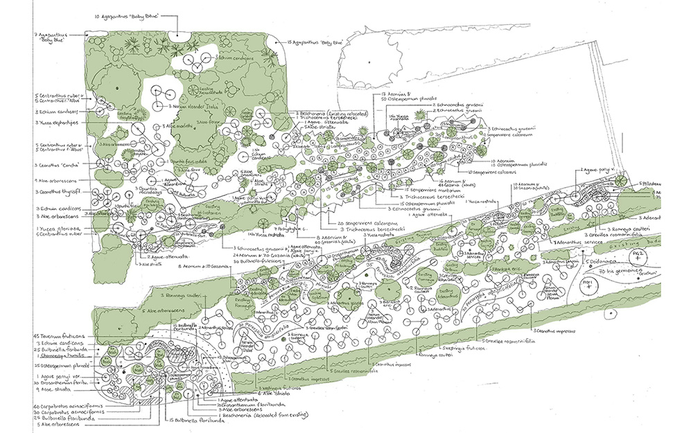 Landscape design at  Cote D'Azur