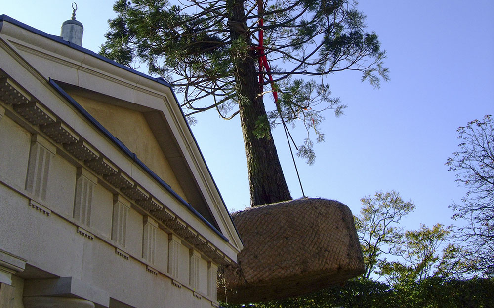 Landscape design at Hanover Lodge London