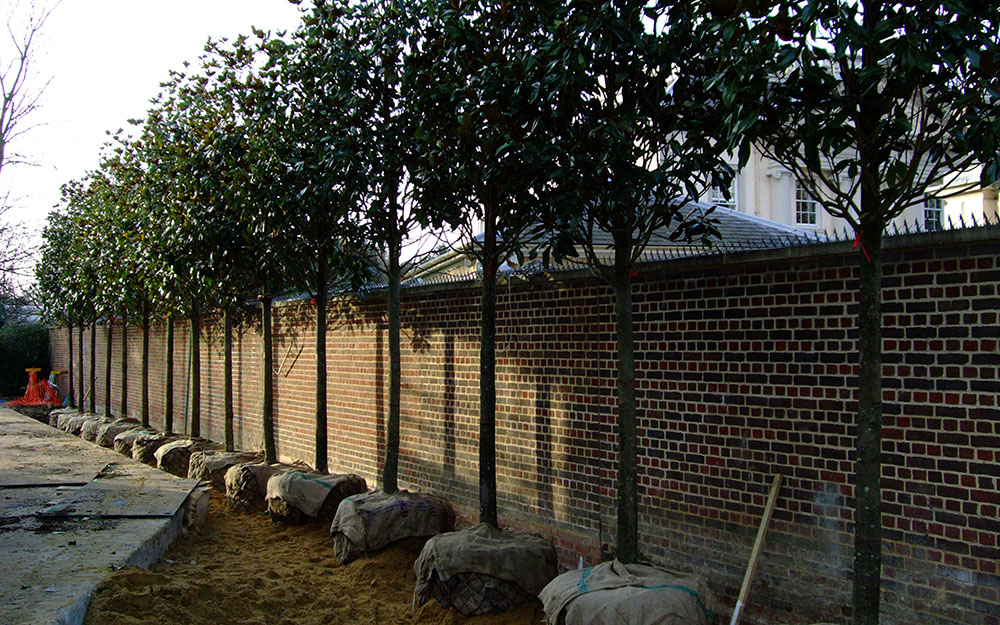 Landscape design at Hanover Lodge London