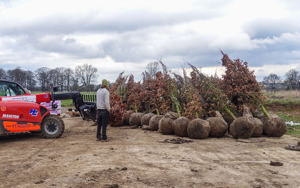 Landscape design at Ramsbury, Wiltshire