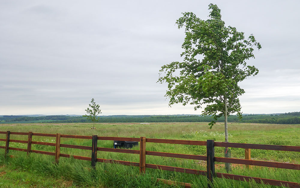 Landscape design at Ramsbury, Wiltshire