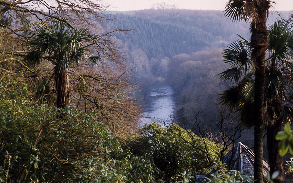 Restoration of Grade 1  registered site - survey & plan, Endsleigh Devon