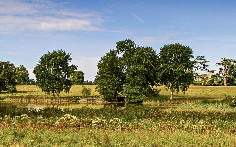 Landscape survey & restoration plan with deer park,  Knepp West Sussex