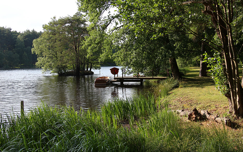 Expert Landscape Witness Evidence at Enforcement Notice Appeals - Fulmer Wood Buckinghamshire