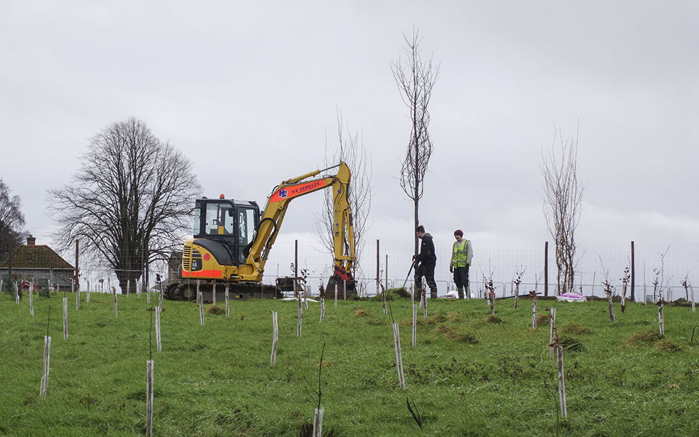 sourcing for Landscape design