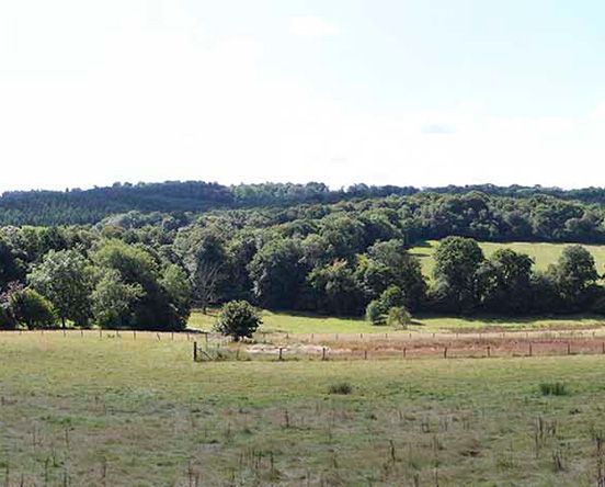 Landscape design: A new lake within High WealD AONB
