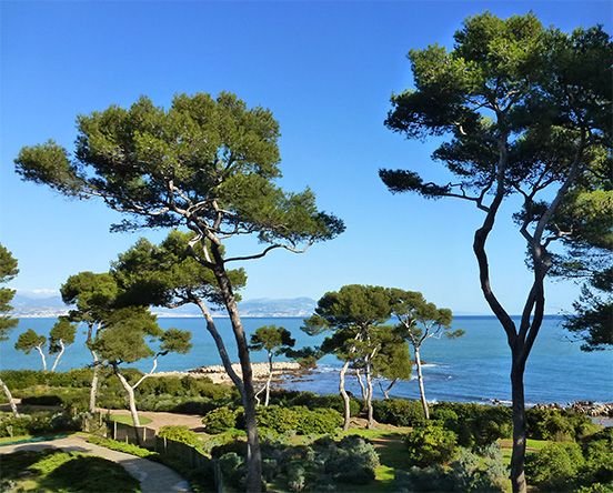 Landscape design Cote d’Azur
